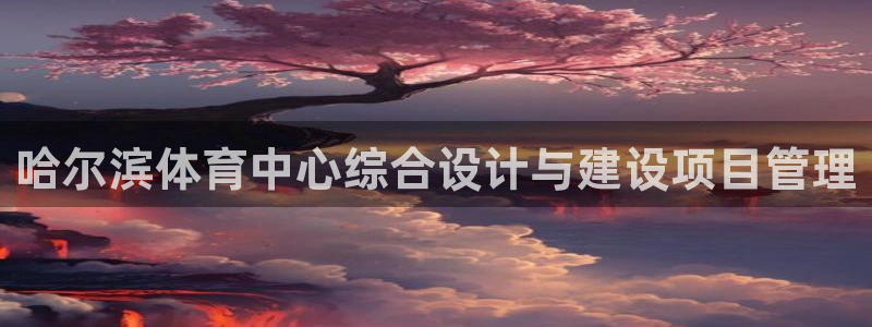 哈尔滨体育中心综合设计与建设项目管理