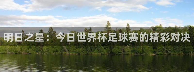 明日之星：今日世界杯足球赛的精彩对决